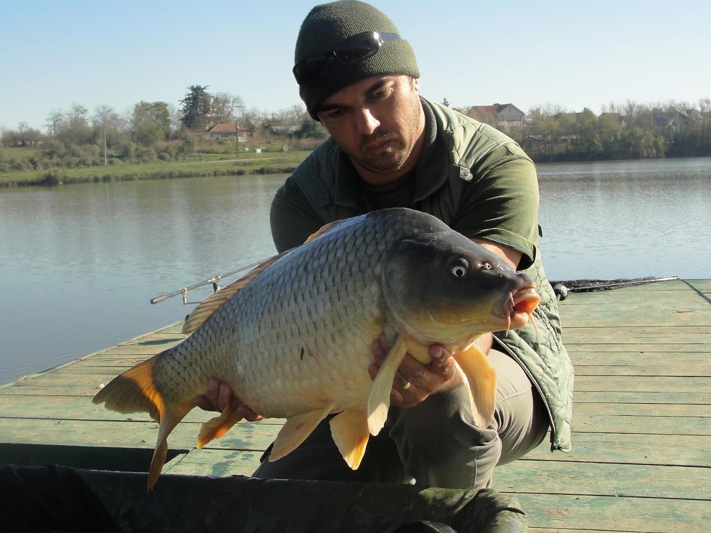 Moara Vlasiei 2 9 - 9 nov.